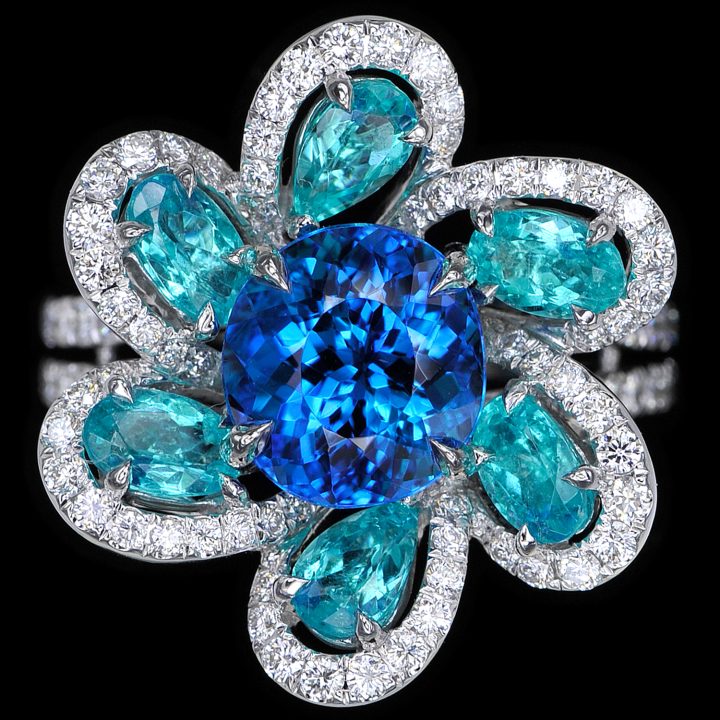 paraiba-ring-zh-hans