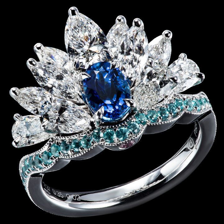 paraiba-ring-fr