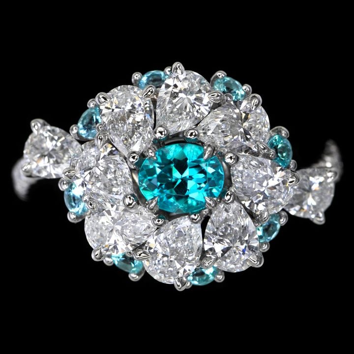 paraiba-ring-zh-hans